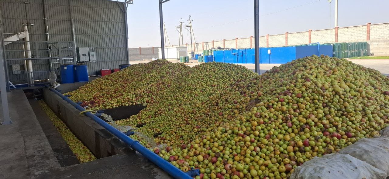 Фото завода